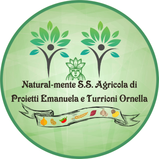 logo-naturalmente512